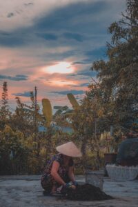 Connection Between Home and Nature